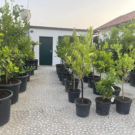 Apartamento Incantevole Casa Sul Mare